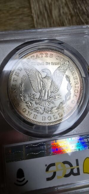 1899-P Morgan Dollar MS66+ PCGS Graded Back