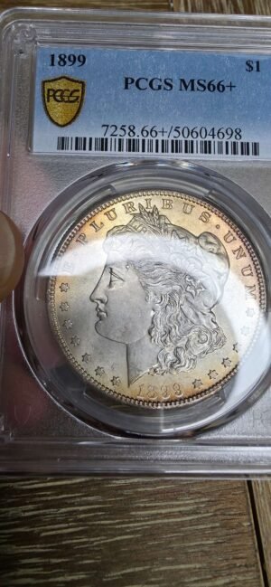 1899-P Morgan Dollar MS66+ PCGS Graded Front